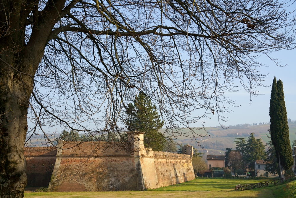 Terra Del Sole